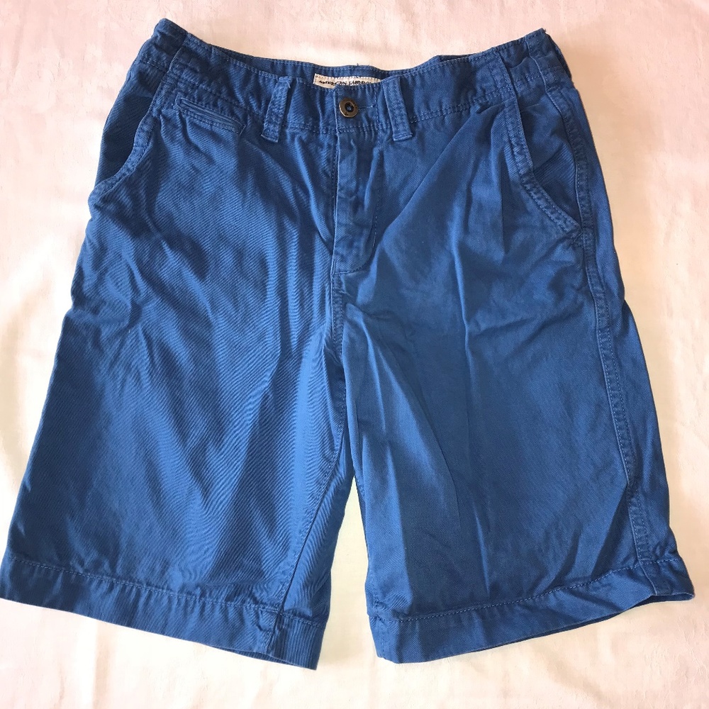 NWOT American Eagle Longboard Blue Shorts Sz 30